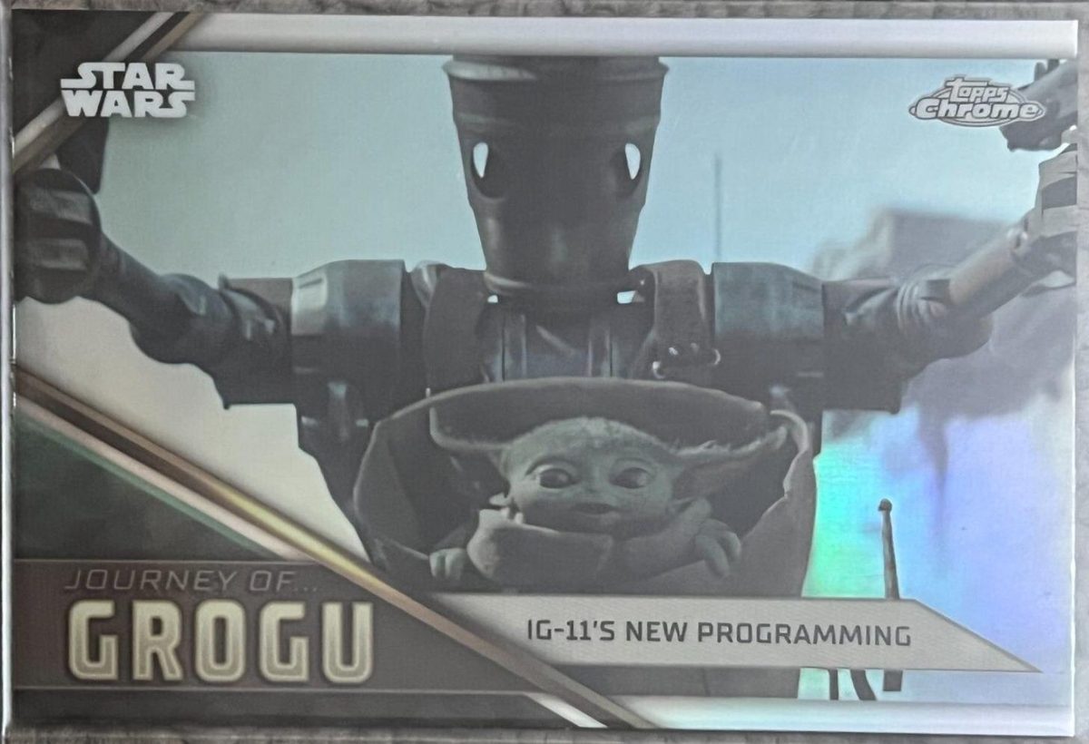 IG-11's New Programming