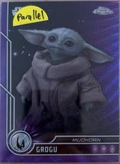 Purple Refractor