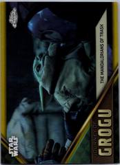 Gold Refractor