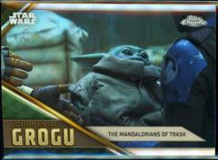 The Mandalorians of Trask