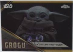 Gold Refractor