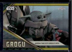 Gold Refractor