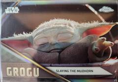 Slaying the Mudhorn