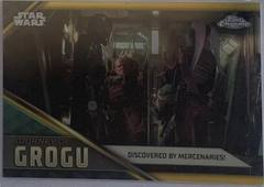 Gold Refractor