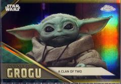 Gold Refractor