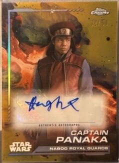 Hugh Quarshie - Captain Panaka