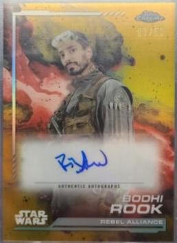 Riz Ahmed - Bodhi Rook
