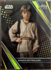 Gold Refractor