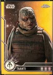 Gold Refractor