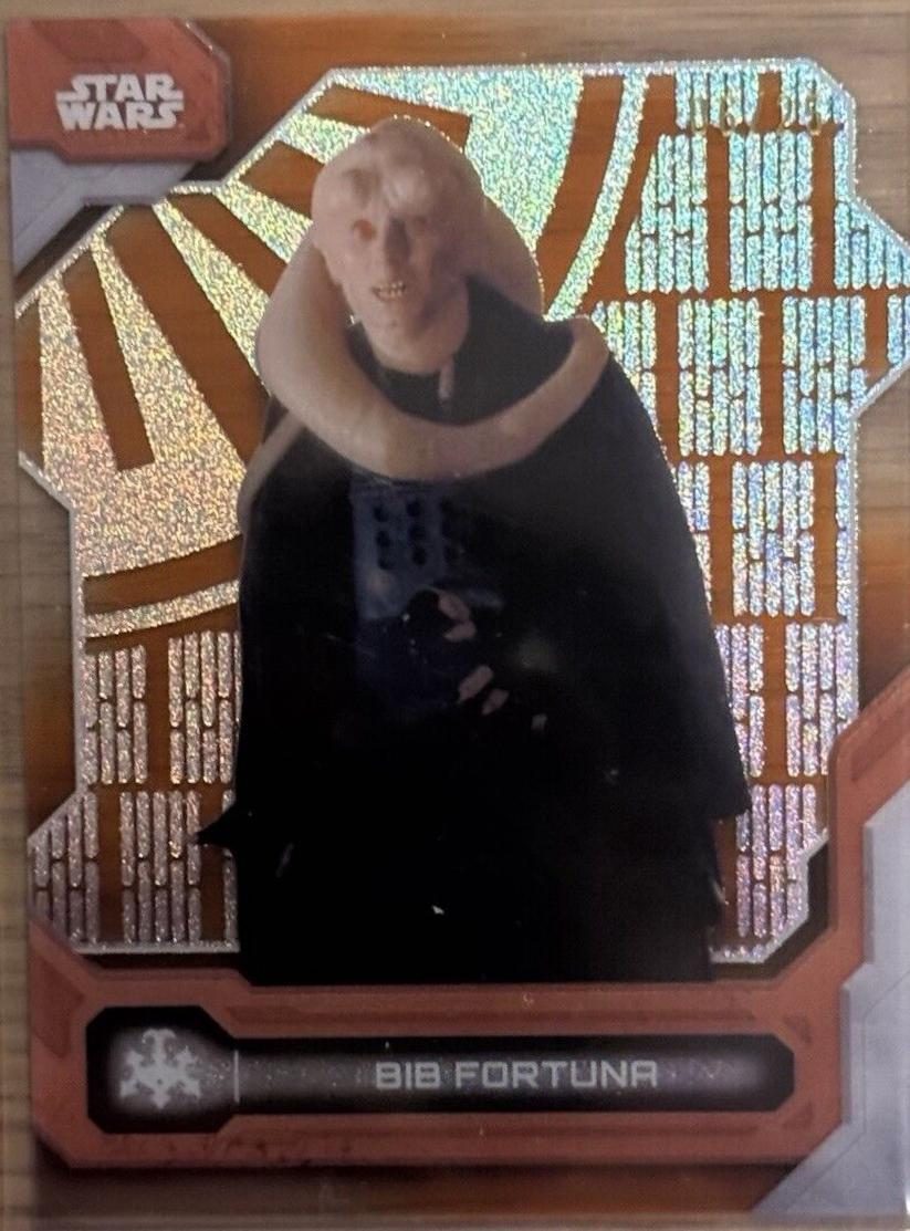 Bib Fortuna