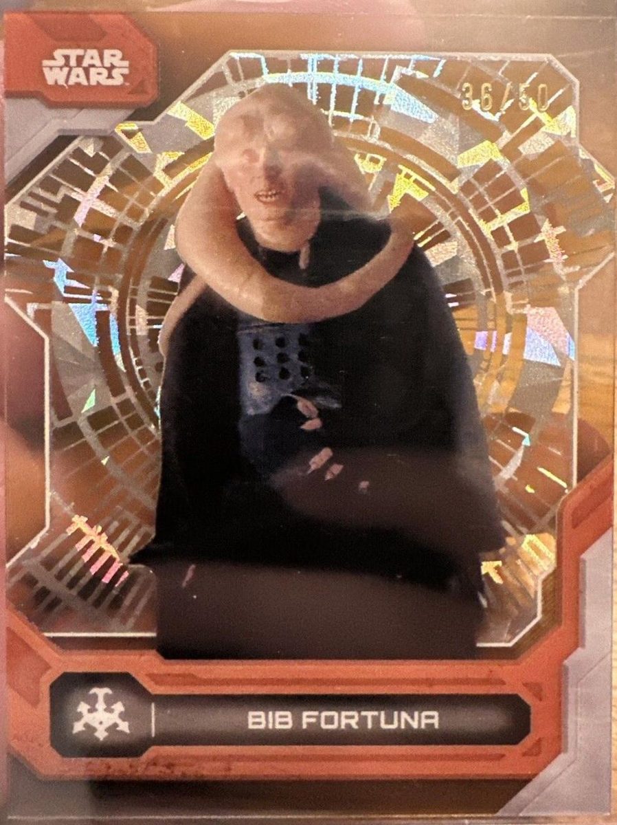 Bib Fortuna