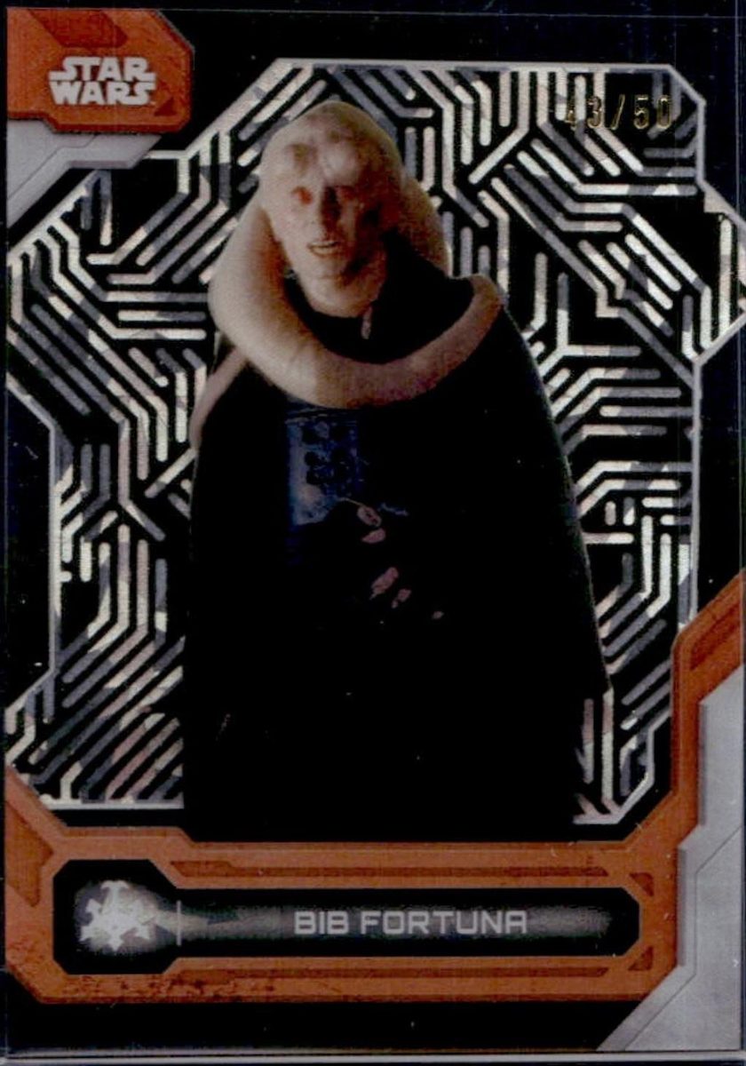 Bib Fortuna