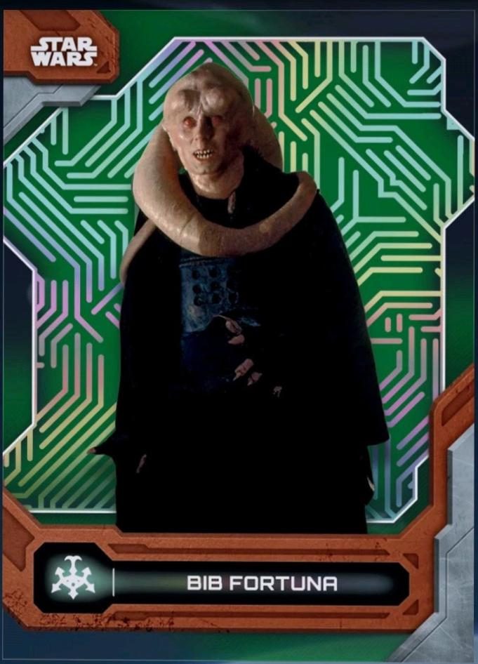 Bib Fortuna