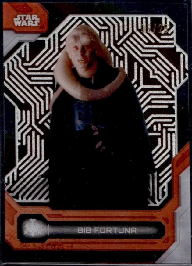 Bib Fortuna