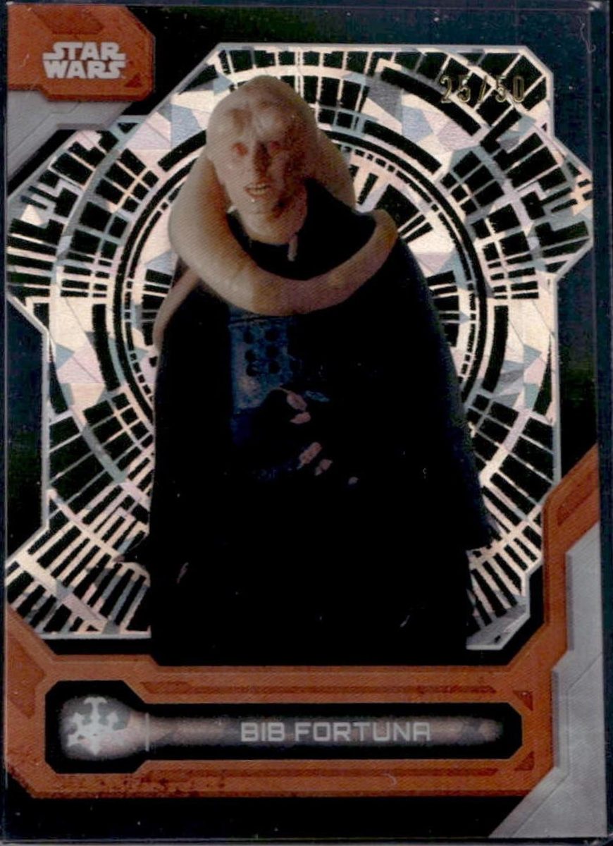 Bib Fortuna