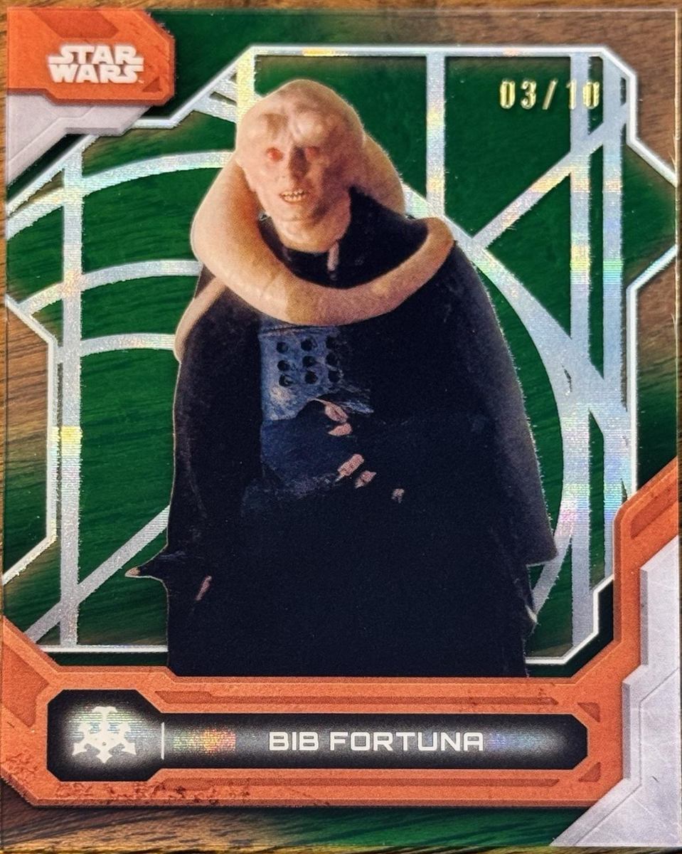 Bib Fortuna