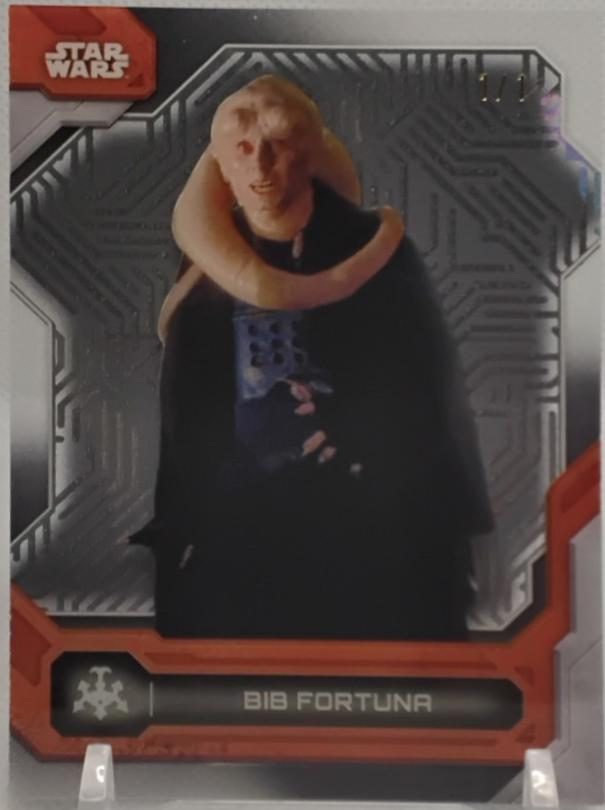 Bib Fortuna