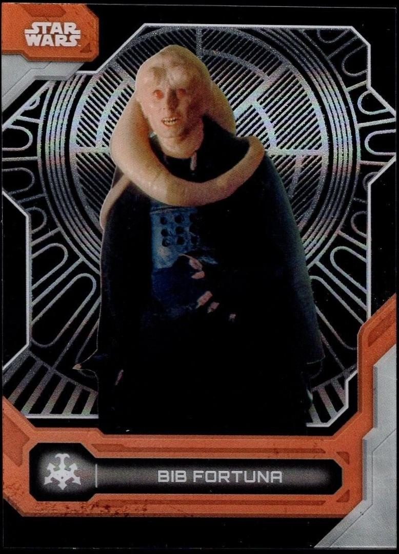 Bib Fortuna