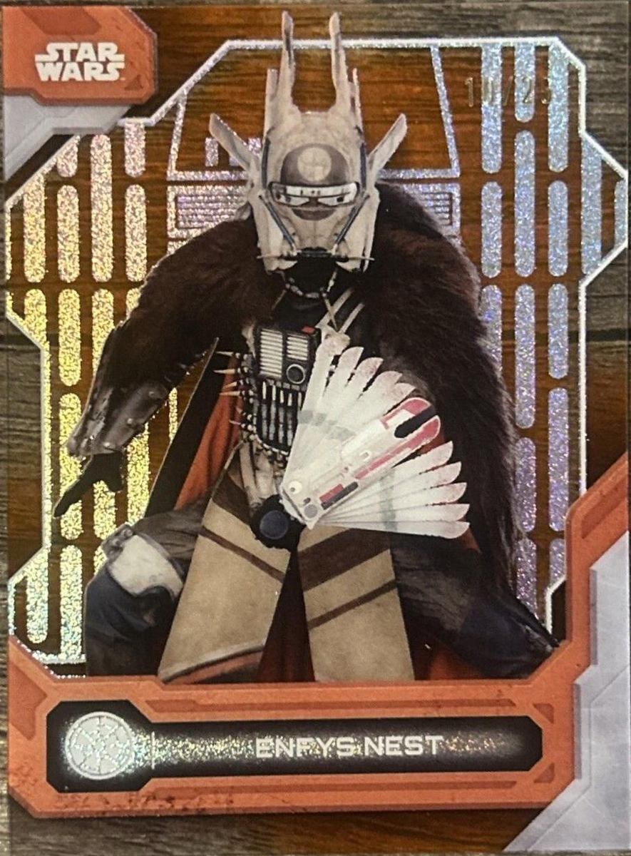 Enfys Nest
