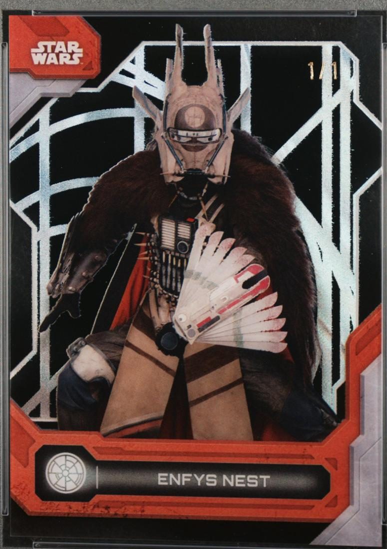 Enfys Nest