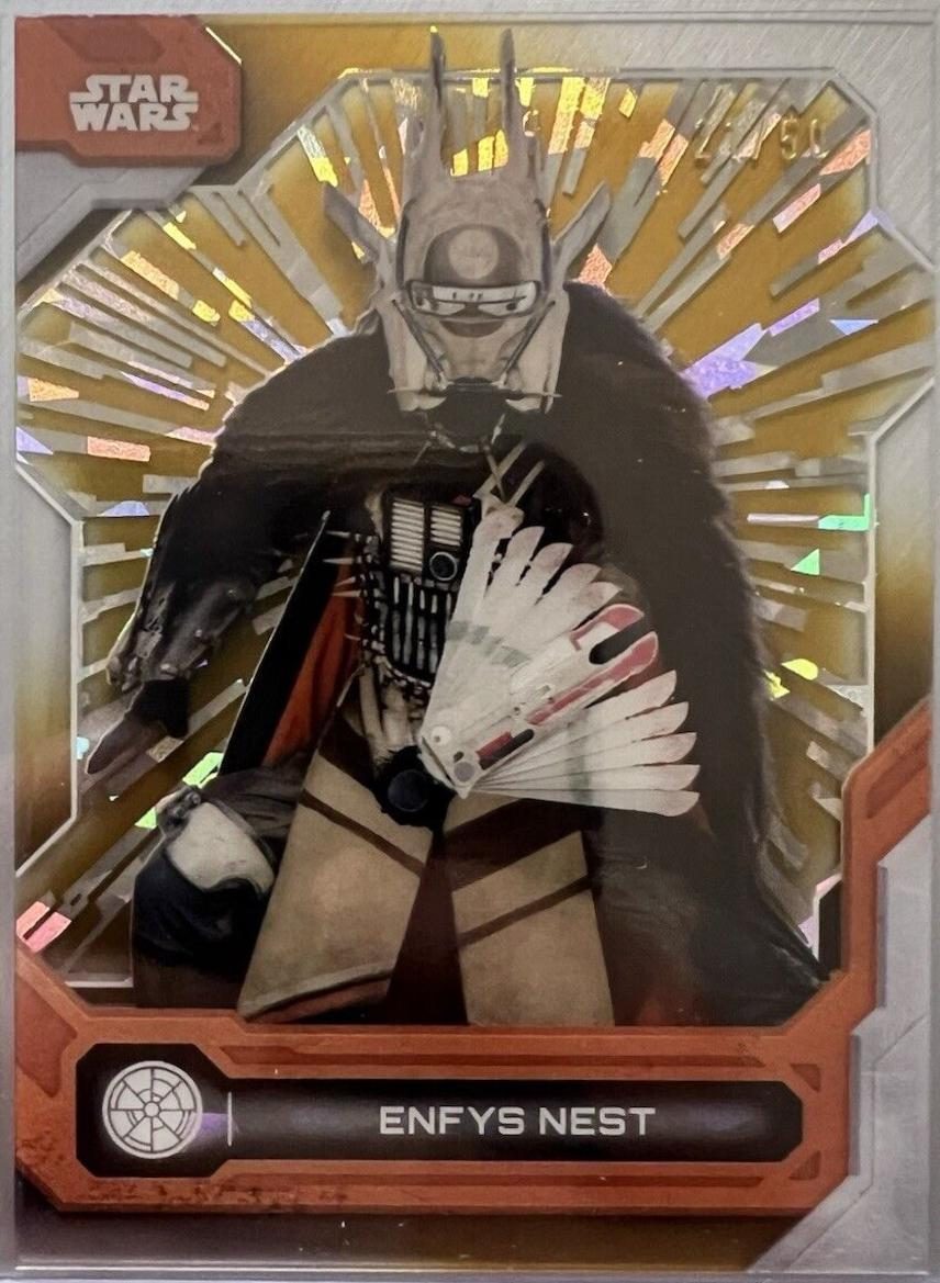 Enfys Nest