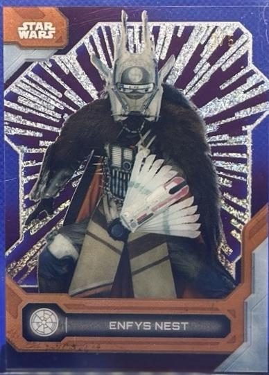 Enfys Nest