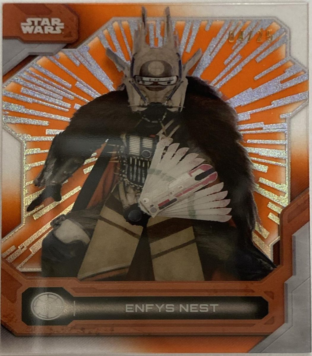 Enfys Nest