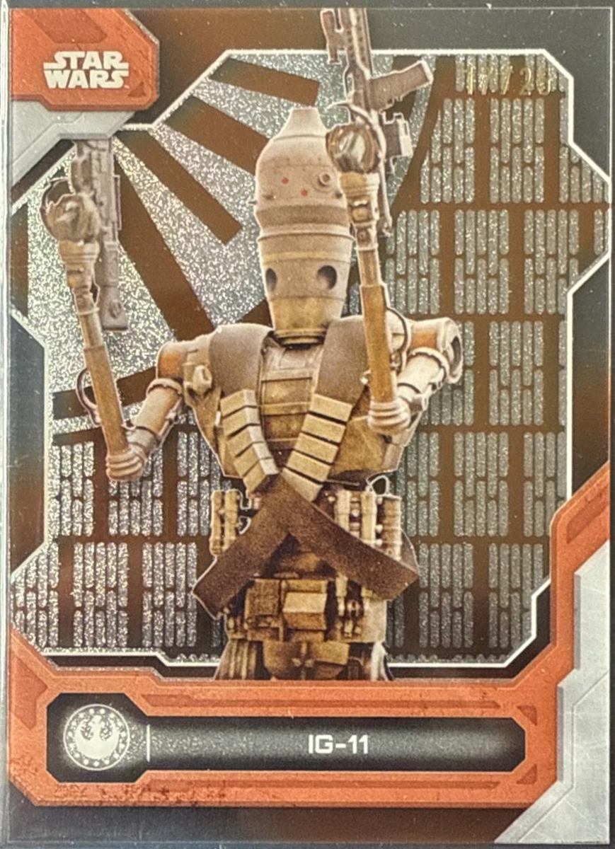 IG-11