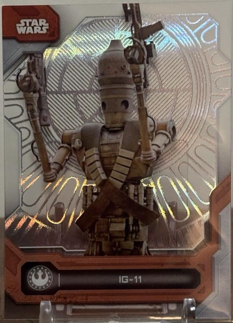 IG-11