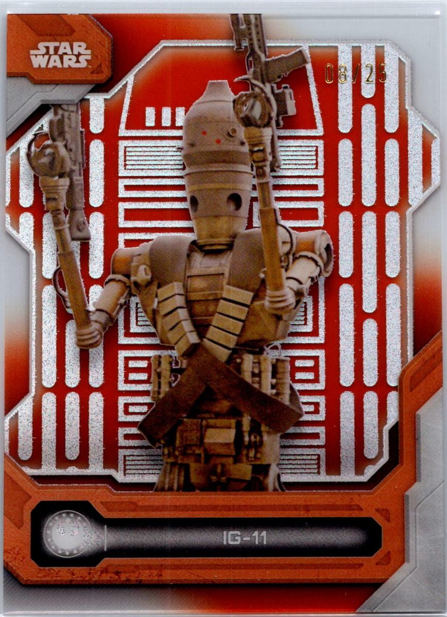 IG-11