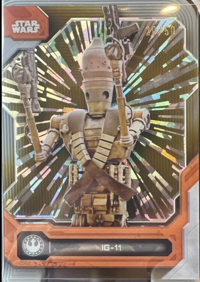 IG-11