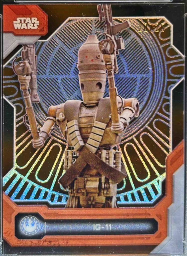 IG-11