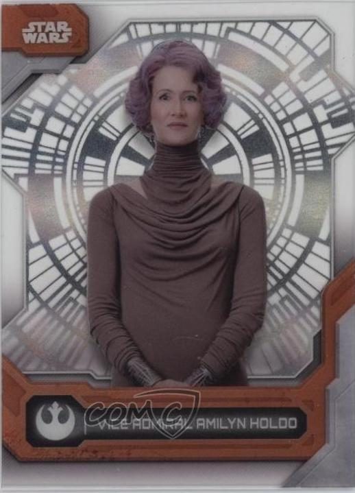 Vice Admiral Amilyn Holdo