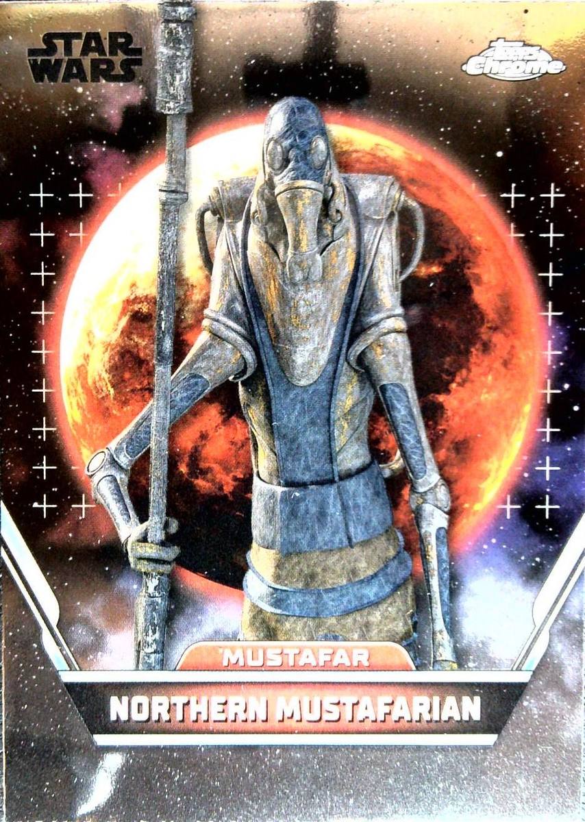 Northern Mustafarian