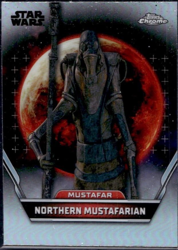 Northern Mustafarian