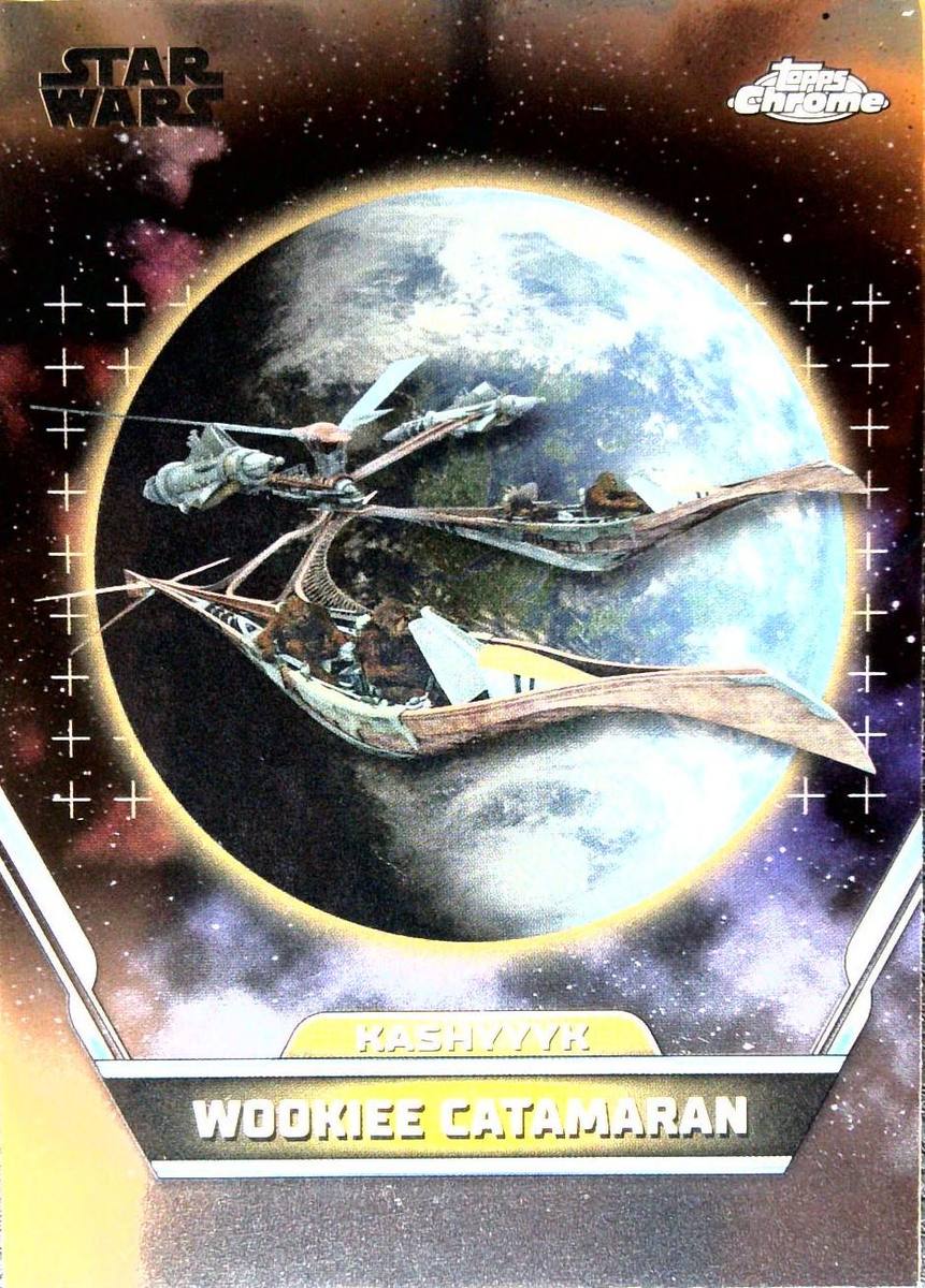 Wookiee Catamaran