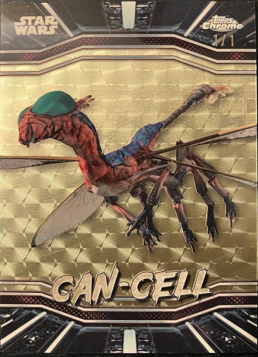 Can-Cell