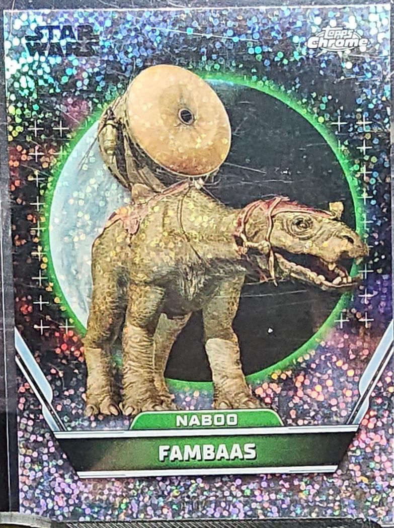 Fambaas