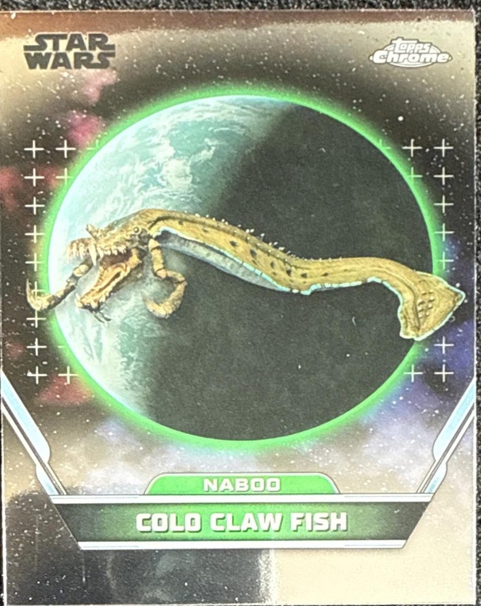 Colo Claw Fish
