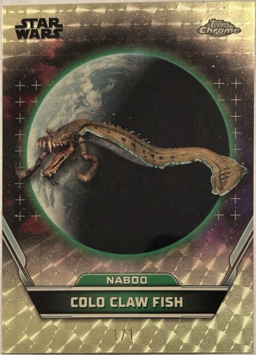 Colo Claw Fish