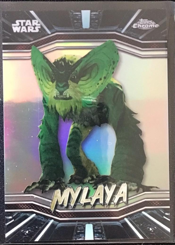 Mylaya