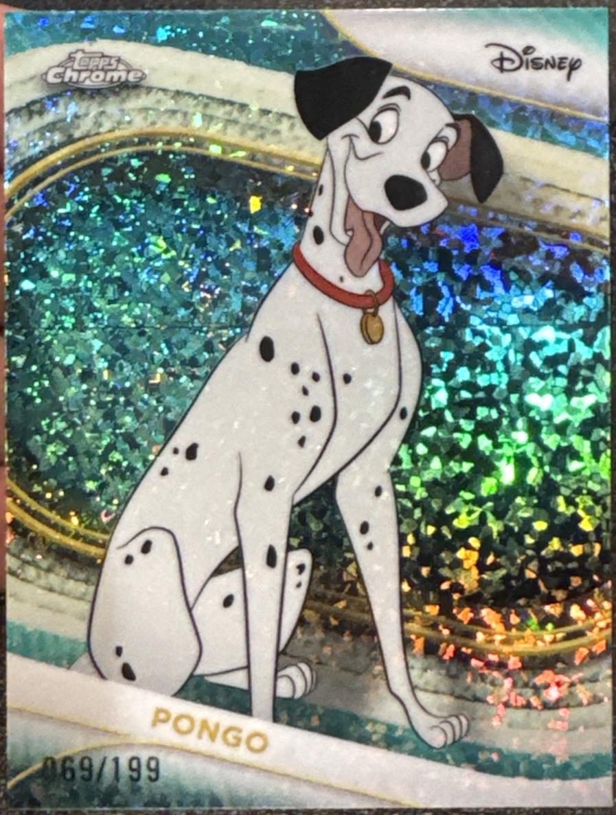 Pongo