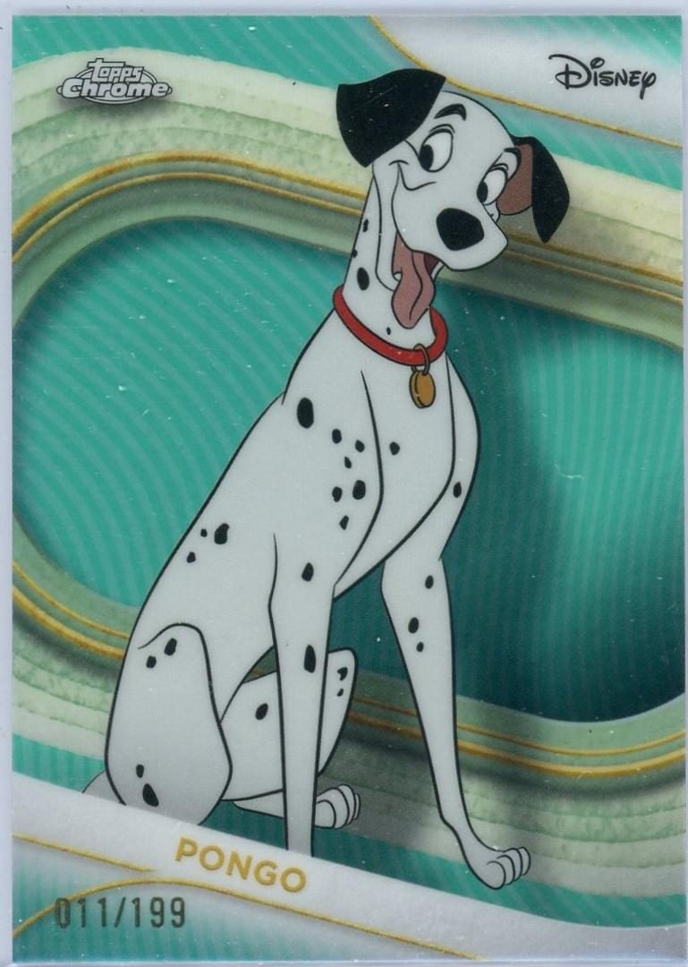 Pongo