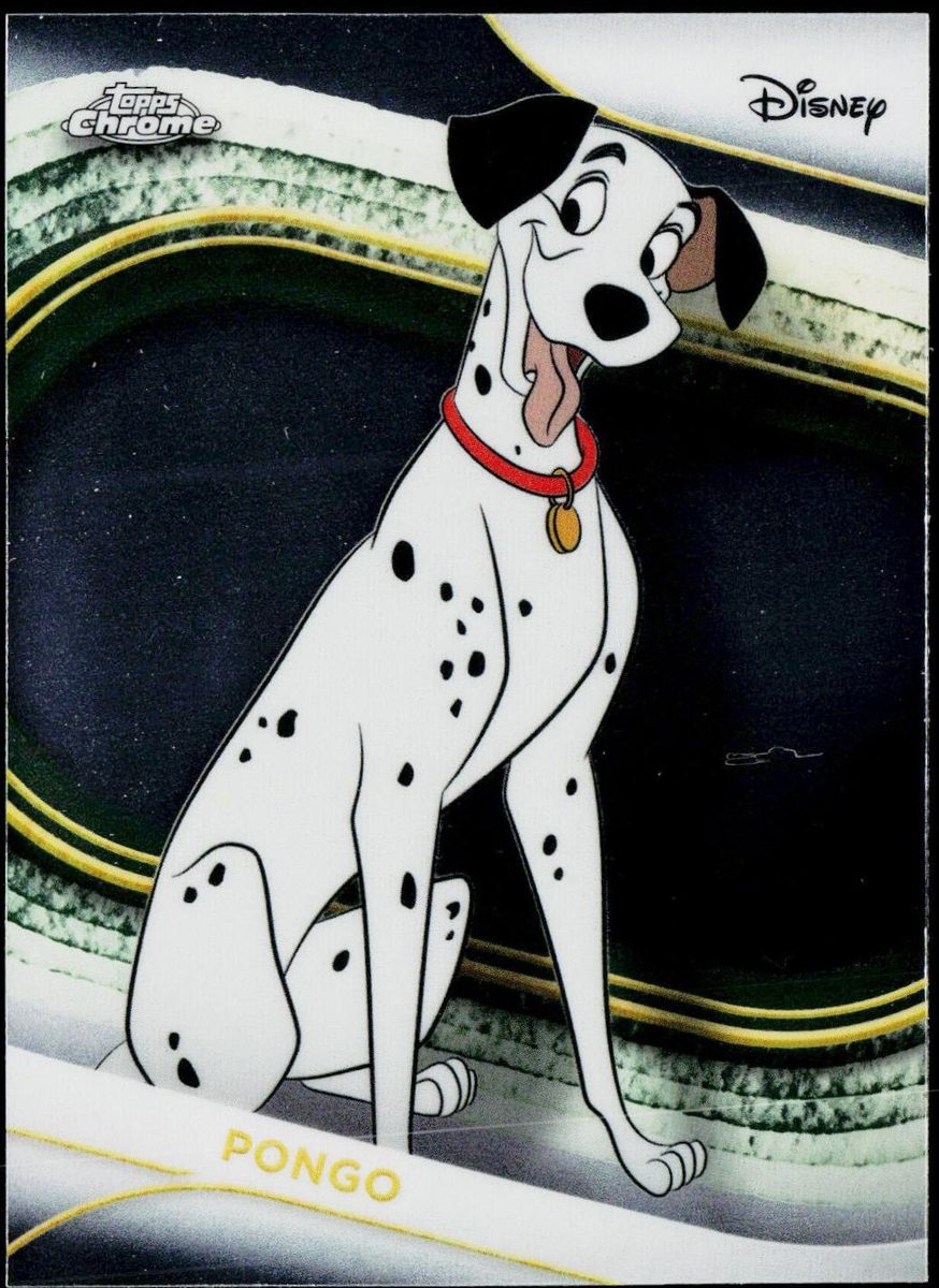 Pongo