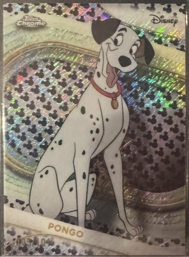 Pongo