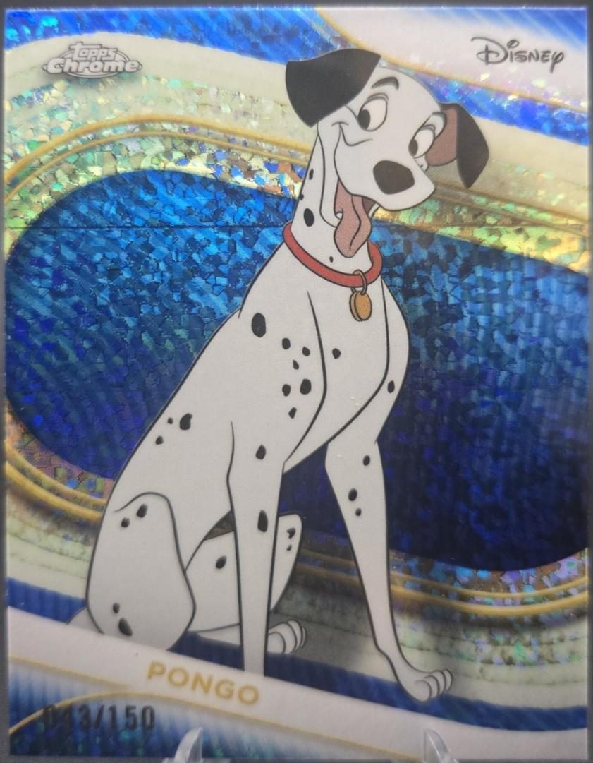 Pongo