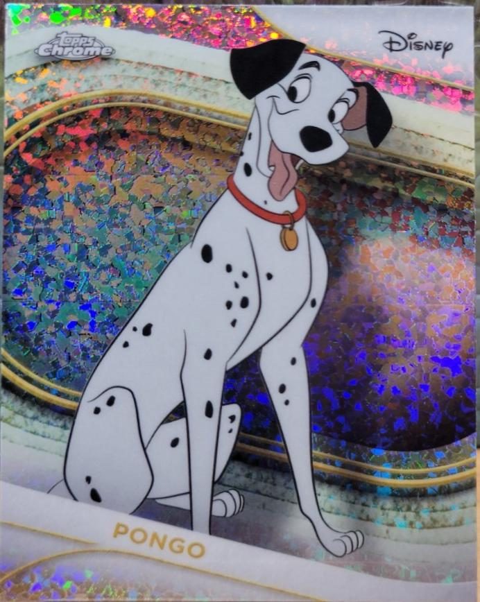 Pongo