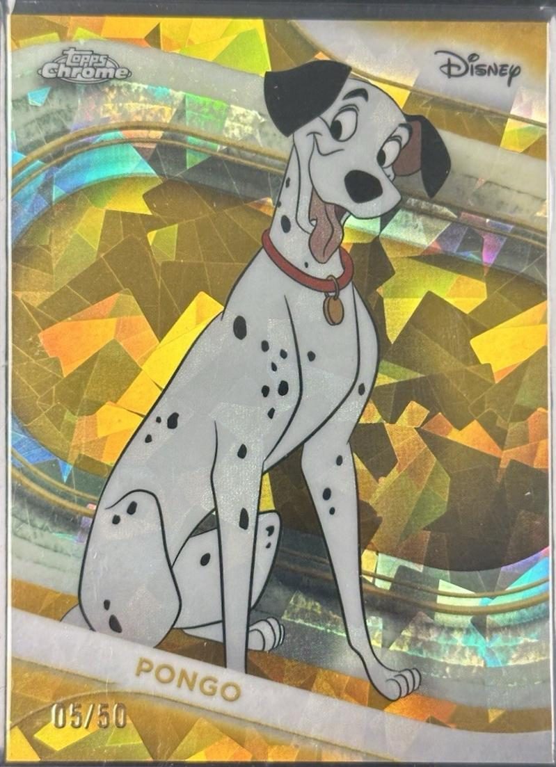 Pongo