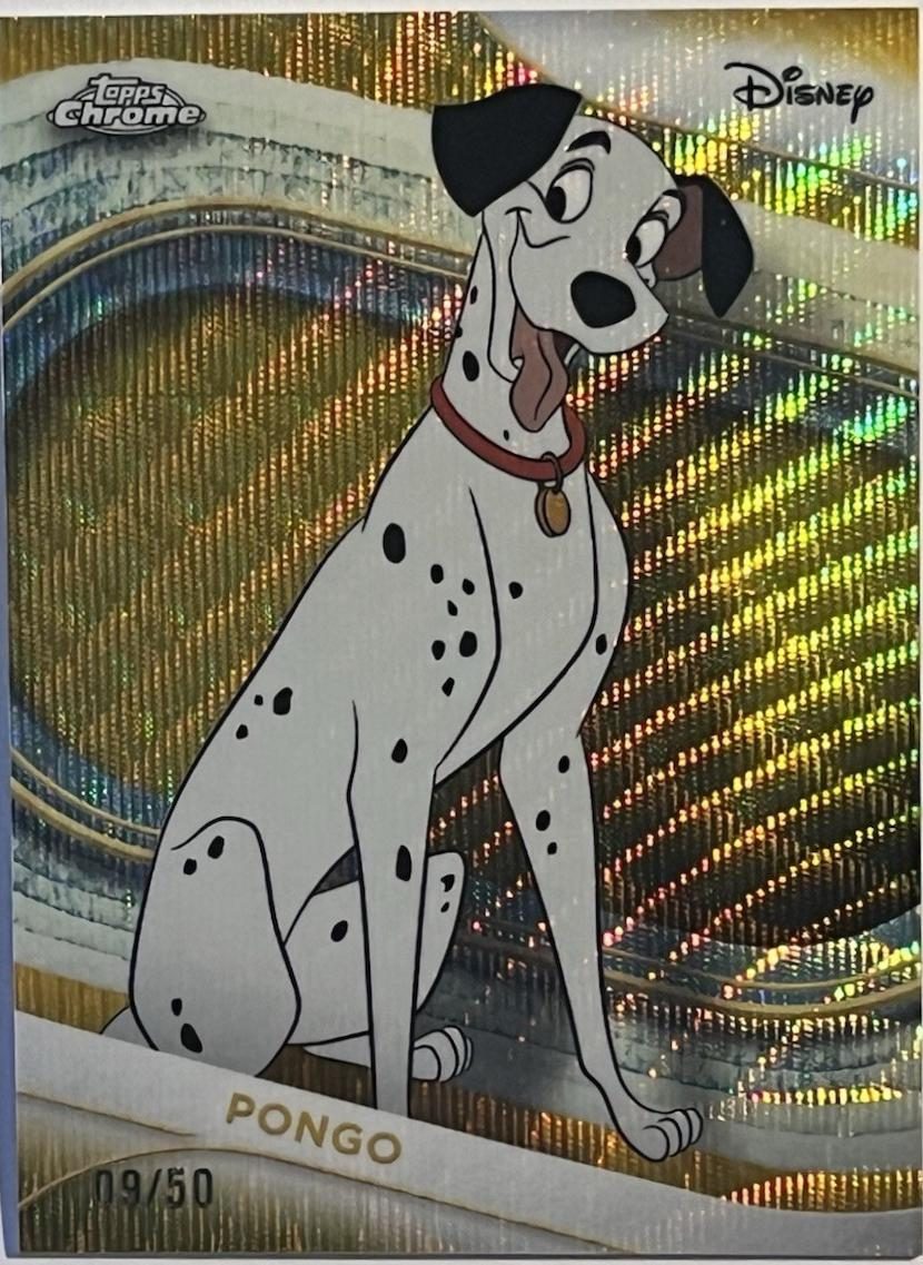 Pongo