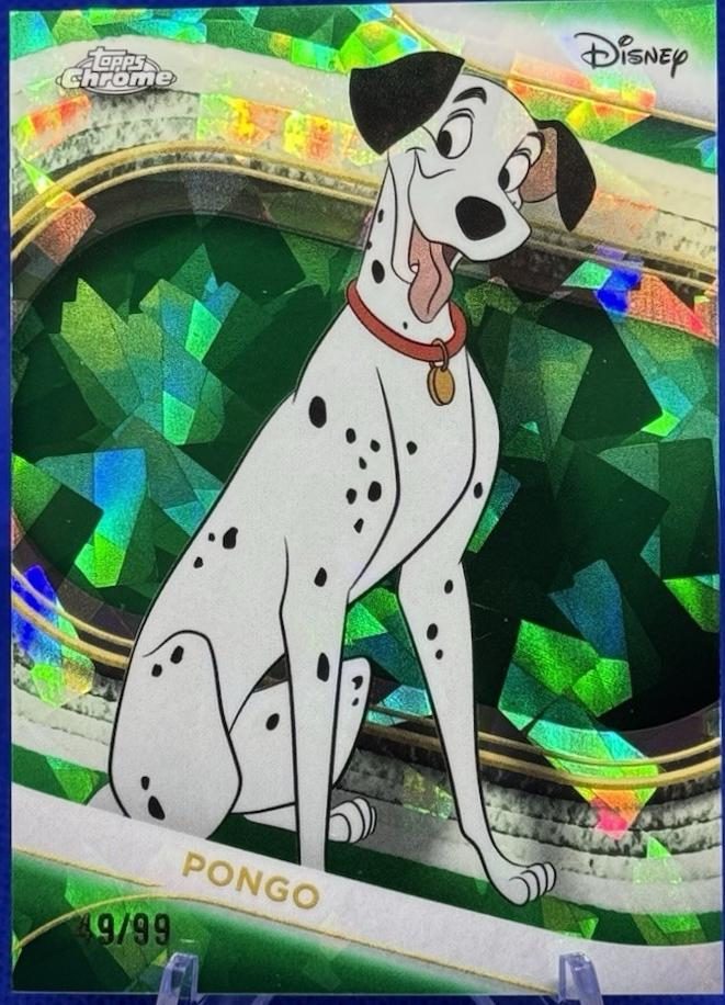 Pongo